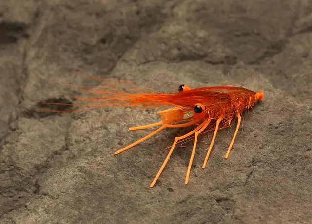 Easy Shrimp Legs 2.0 Trans Dirty Brown 6stk 