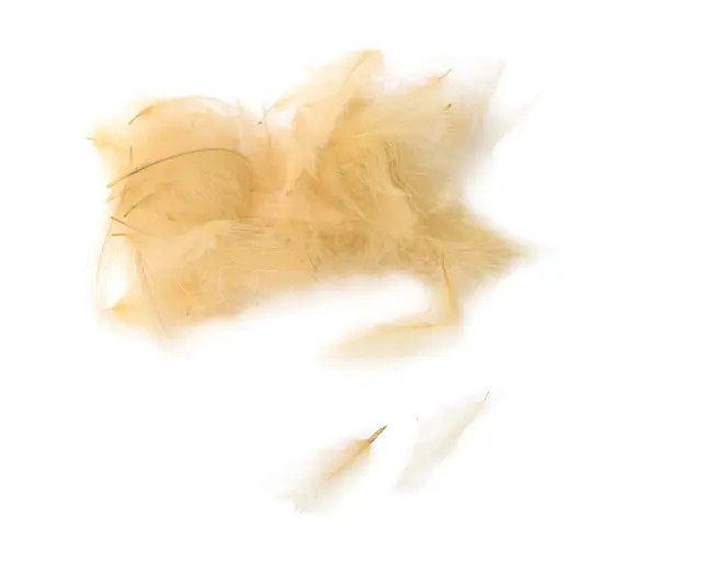 Flydressing Premium CDC Cream Høykvalitets CDC i naturlige farger 