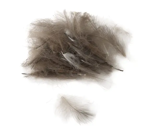 Flydressing Premium CDC Medium Gray Høykvalitets CDC i naturlige farger 