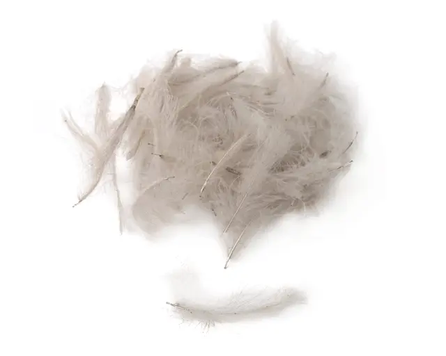 Flydressing Premium CDC Smoke Dun Høykvalitets CDC i naturlige farger 