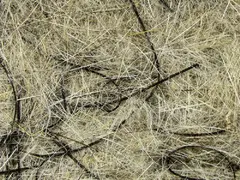 Hareline Hare&#39;e Wiggle Dub #178 Natural Hare&#39;s Ear