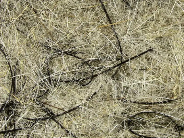 Hareline Hare'e Wiggle Dub #178 Natural Hare's Ear 