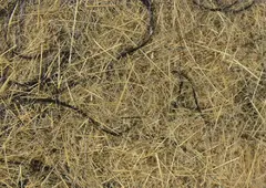 Hareline Hare&#39;e Wiggle Dub #369 Tan