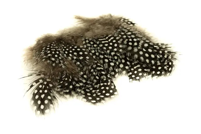 Hareline Strung Guinea Feathers #242 Natural 