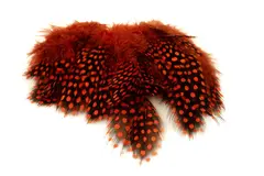 Hareline Strung Guinea Feathers #271 Orange