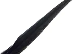 Wapsi Pheseant Rooster Middle Tail Svart