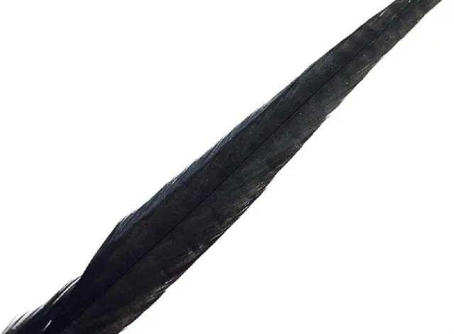 Wapsi Pheseant Rooster Middle Tail Svart 