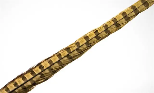 Wapsi Pheseant Rooster Middle Tail Bleached Ginger 