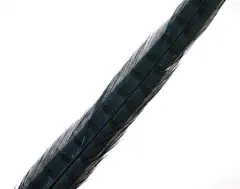 Wapsi Pheseant Rooster Middle Tail Blue