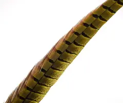 Wapsi Pheseant Rooster Middle Tail Golden Yellow