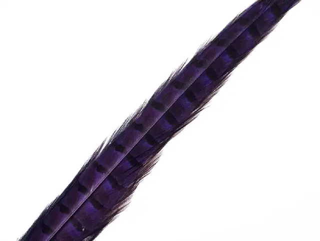 Wapsi Pheseant Rooster Middle Tail Purple 