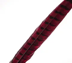 Wapsi Pheseant Rooster Middle Tail Red