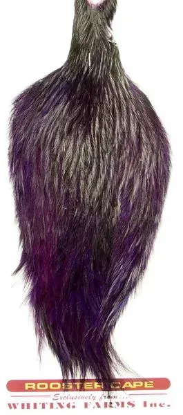 Whiting Coq De Leon Rooster Cape Badger/Purple 