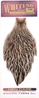 Whiting Hen Cape - Silver Badger