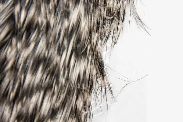 Whiting Spey Hen Cape Grizzly 