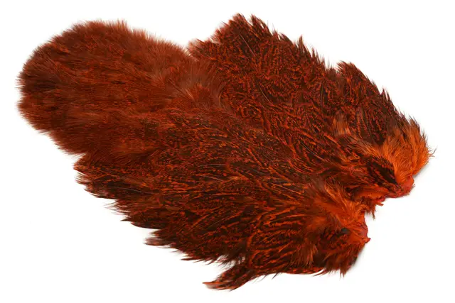 Whiting Coq De Leon Hen SH/C Speckled dyed Orange 