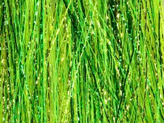 Fr&#246;din SSS Flash Wing Flash Hot Green Hot Greenlander Green