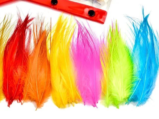Frödin Heron Hackle Feather Pack 10 farger, 100 fjær 