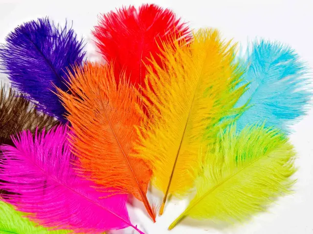 Frödin Ostrich Body Feather Pack 10 farger, 100 fjær 