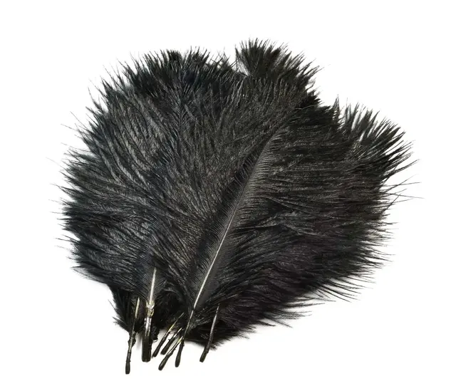 Frödin Ostrich Hackles Charcoal Black Charcoal Black 