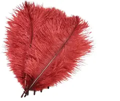 Fr&#246;din Ostrich Hackles Pahtakorva Brown Pahtakorva Brown