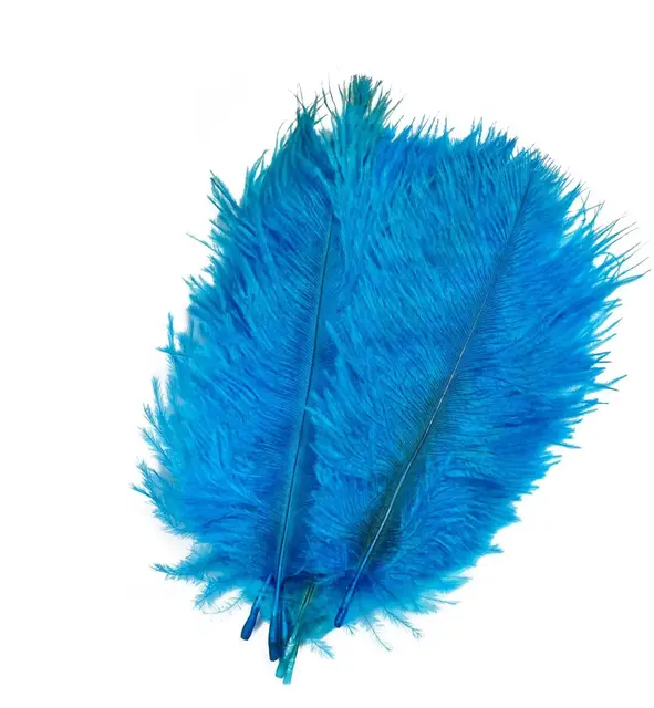 Frödin Ostrich Hackles Teal & Blue Teal & Blue 