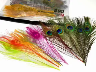 Fr&#246;din Peacock Eye Feather Pack 10 farger, 50 fj&#230;r