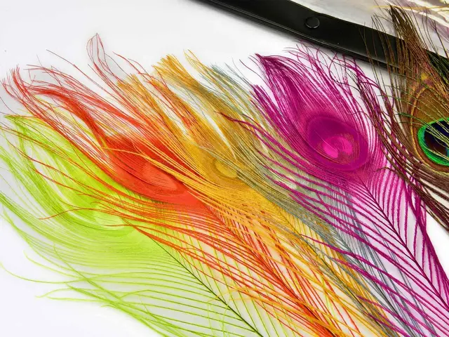 Frödin Peacock Eye Feather Pack 10 farger, 50 fjær 