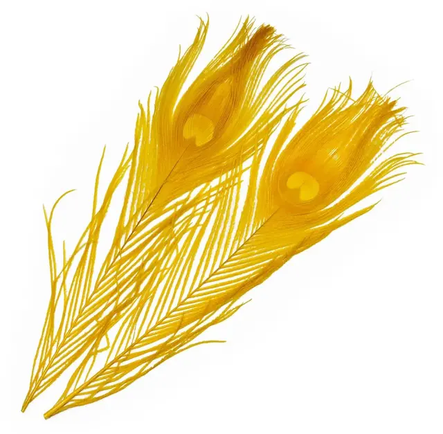 Frödin Peacock Eye Feathers B&D Lion B&D Lion Yelllow 