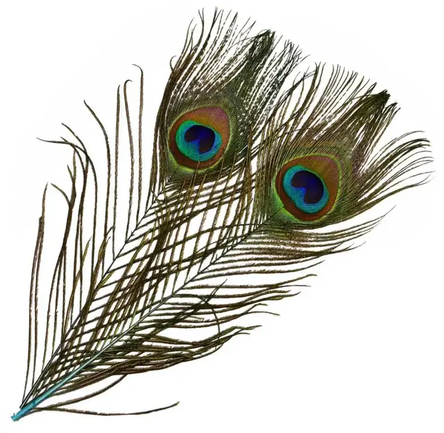 Frödin Peacock Eye Feathers Clear Water Clear Water Blue 