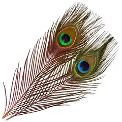 Fr&#246;din Peacock Eye Feathers Hot Orange Hot Orange In Flames