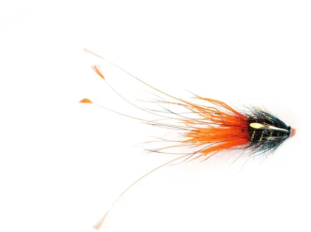 Frödin Pig Series Thunder 2cm Mikael Frödin Fly Design 