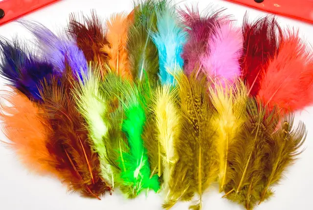 Frödin Pheasant Rump Feather Pack 20 farger, 100 fjær 