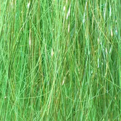 SSS Angel Hair Hot Greenlander Green Fr&#246;din Flies