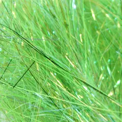 SSS Glitz Hot Greenlander Green Fr&#246;din Flies