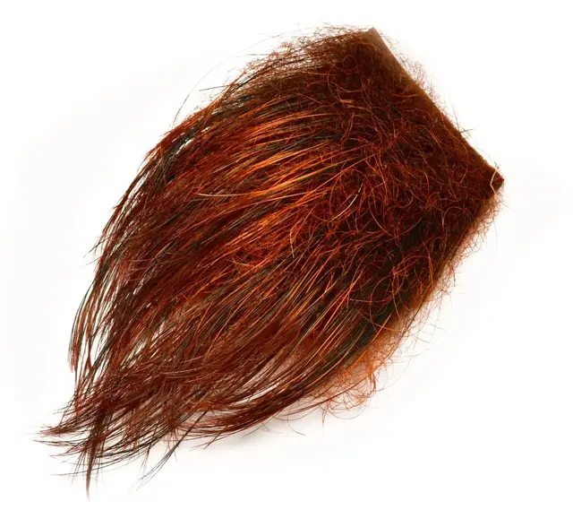 Frödin Wild Boar Feelers Burnt Orange Burnt Orange 