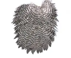 Futurefly Signature Hen Saddle Nature Grizzly