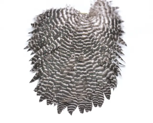 Futurefly Signature Hen Saddle Nature Grizzly 