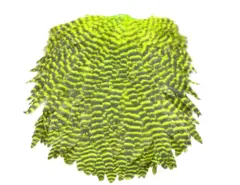 Futurefly Signature Hen Saddle Chartreuse Grizzly