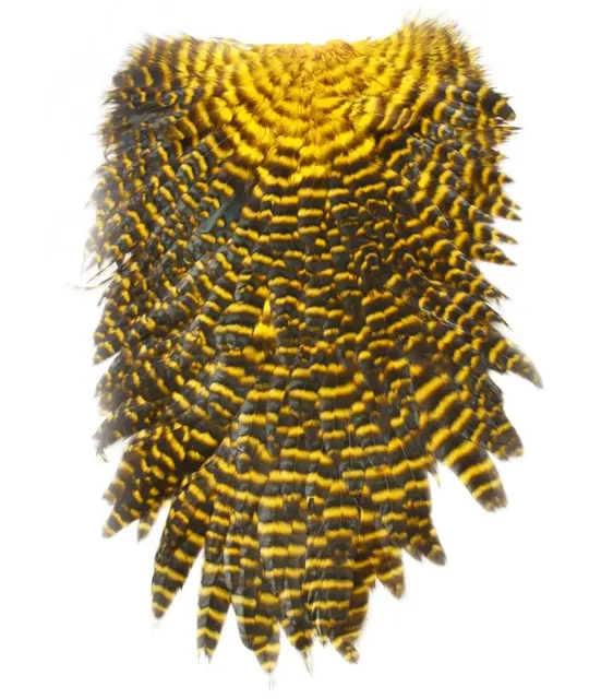 Futurefly Signature Hen Saddle Sunburst Yellow 