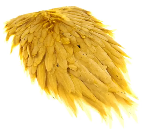 Futurefly Signature Hen Saddle Copper Olive 