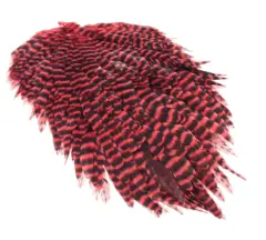 Futurefly Signature Hen Saddle Red Grizzly