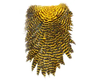 American Saddle Sunburst/Yellow Grizzly FutureFly