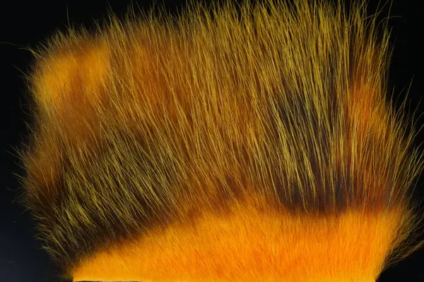 American Opossum Sun Burst FutureFly 