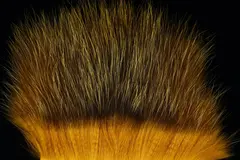 American Opossum Honey Gold FutureFly