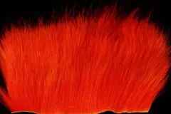 American Opossum Orange C FutureFly