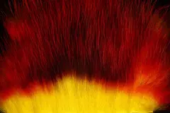 American Opossum Hot Yellow/Hot Orange FutureFly