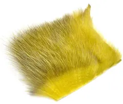 American Opossum Oliver#2 FutureFly