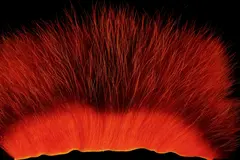 American Opossum Orange FutureFly