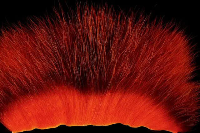 American Opossum Orange FutureFly 